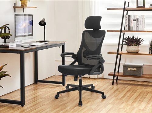 Ergonomine kėdė su pakeliamais porankiais