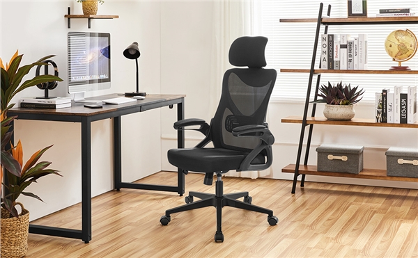 Ergonomine kėdė su pakeliamais porankiais