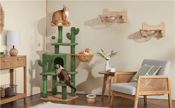 135 cm kaktuso formos kačių bokštas - Image 2