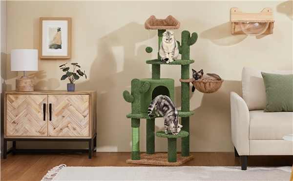 135 cm kaktuso formos kačių bokštas - Image 3